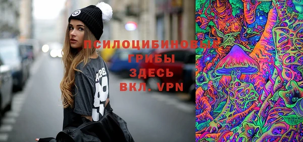 стаф Абдулино