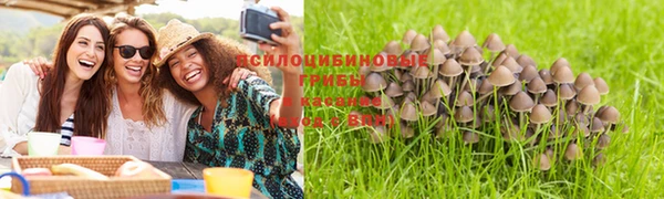 марки lsd Абинск