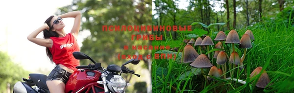 стаф Абдулино