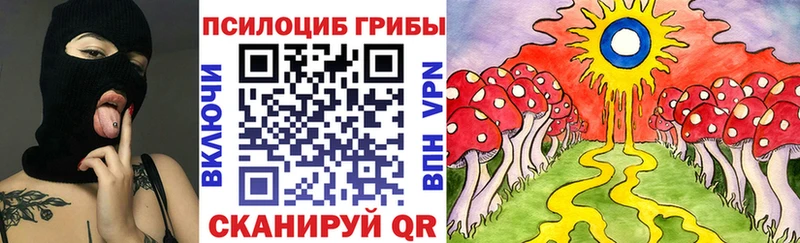 мориарти телеграм  Костомукша  KRAKEN зеркало  Псилоцибиновые грибы прущие грибы  где купить наркотик 